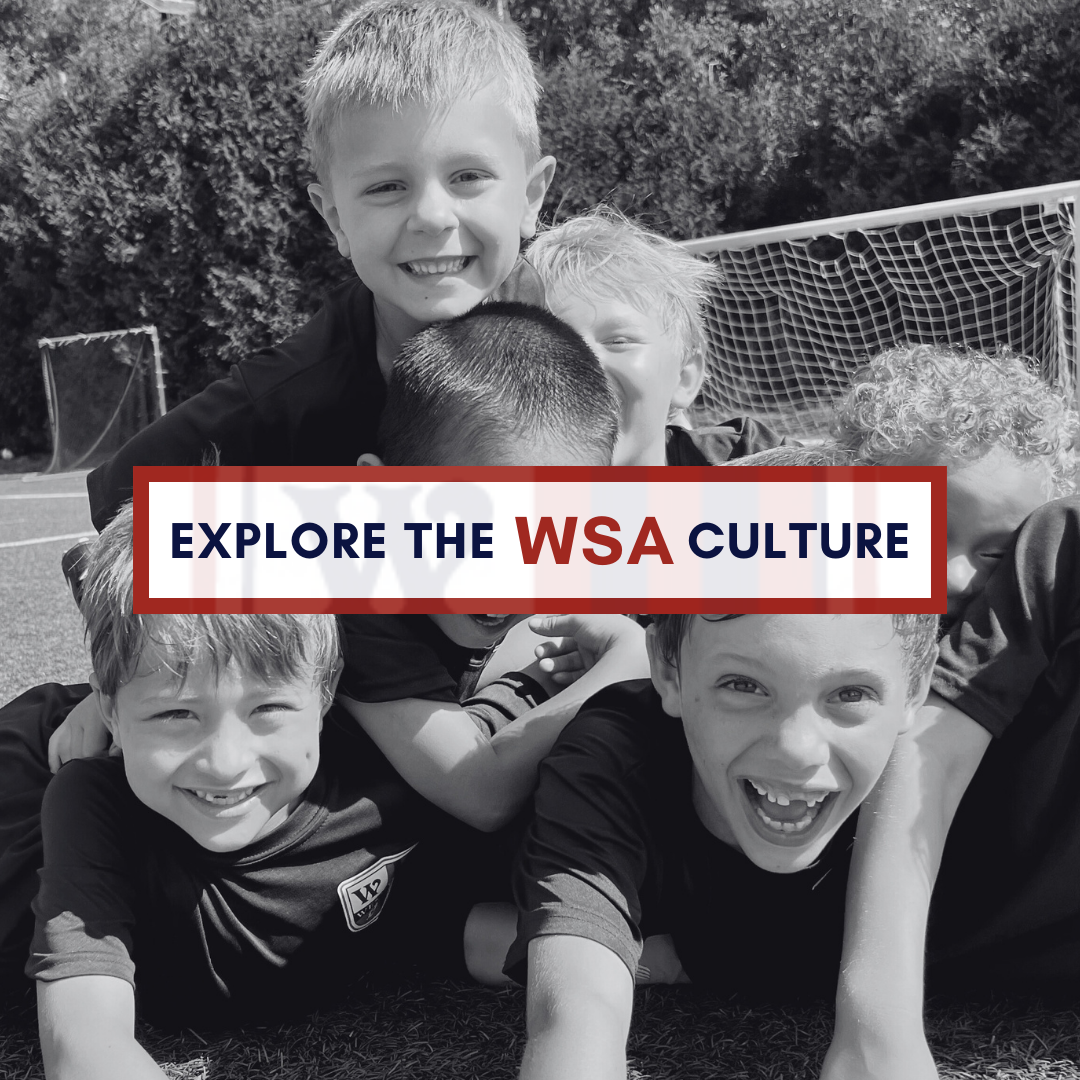 Learn More About WSA